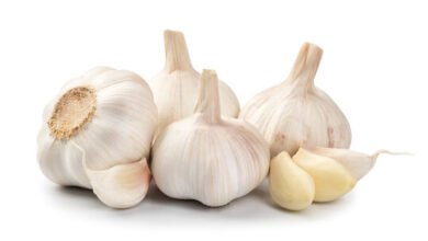 16 Incredible Health Benefits of Garlic