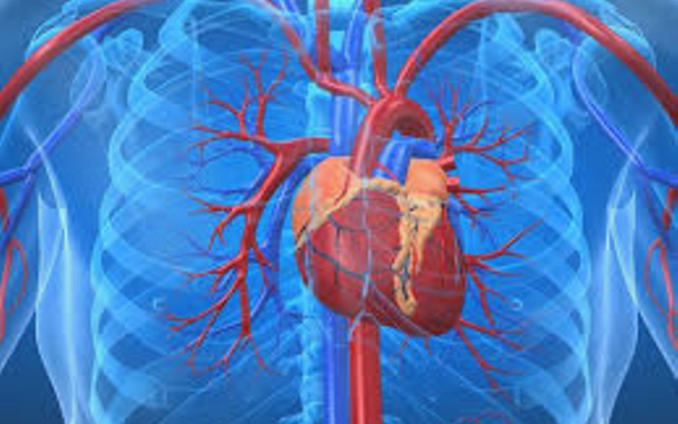 Coronary Calcium Score