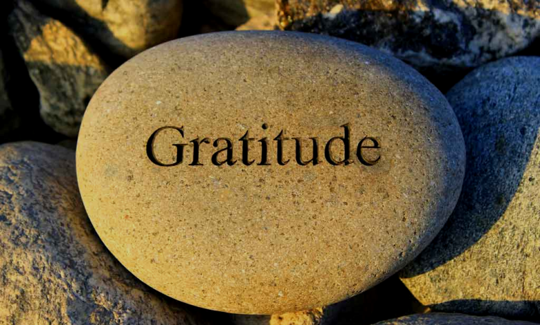 Gratitude