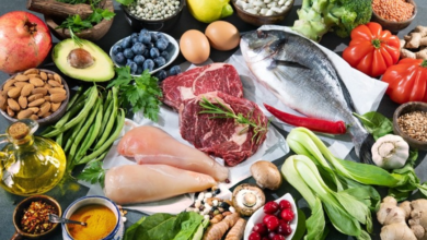 Animal-Based Diets
