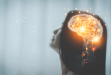 Brain Development