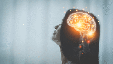 Brain Development
