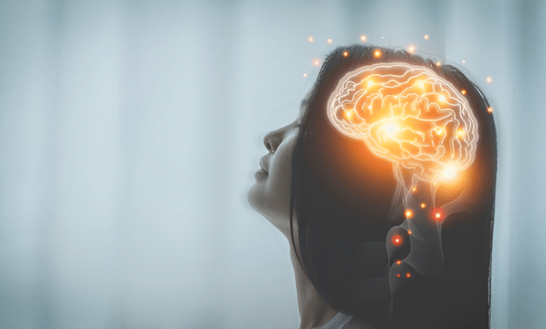 Brain Development